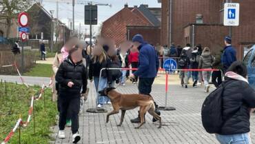 Gecoördineerde actie aan scholen in Avelgem: focus op drugscontrole 